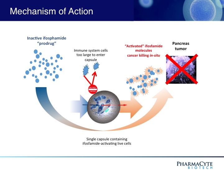 what is the mechanism of action of anticancer drugs